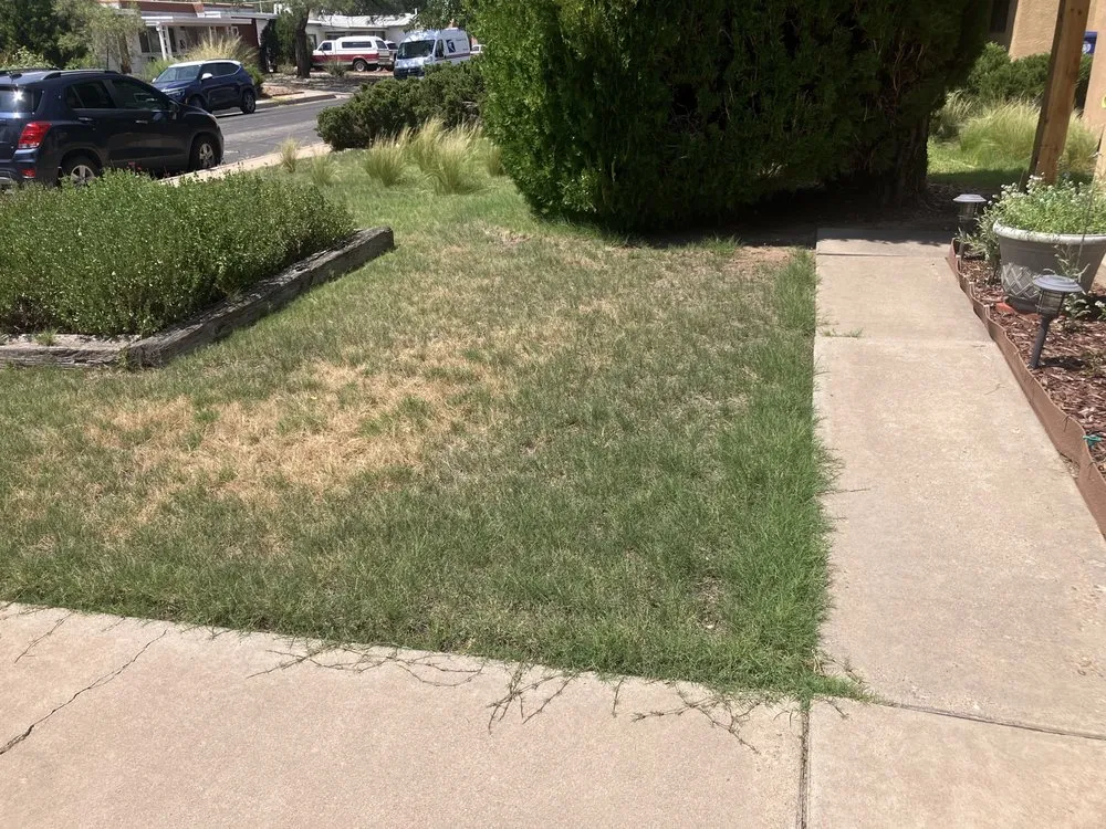 Local residential landscaping experts serving Albuquerque, NM - Wise Home Improvements
