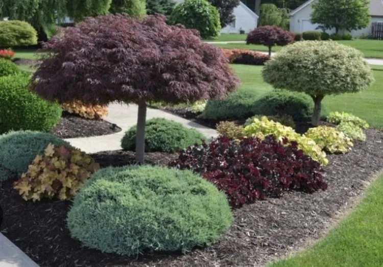 Local landscape design for beautiful yards in Albuquerque, NM by Wise Home Improvements