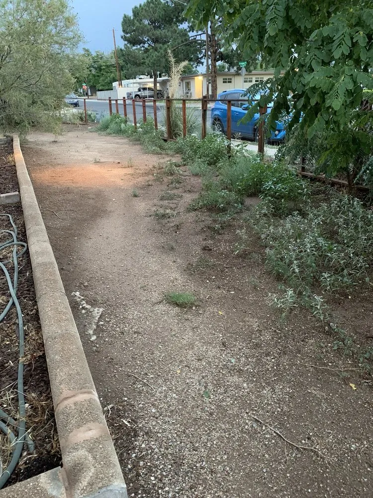 Custom residential landscaping for year-round maintenance across Albuquerque, NM - Wise Home Improvements