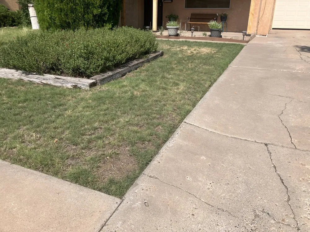 Trusted lawn mowing service experts serving Albuquerque, NM - Wise Home Improvements