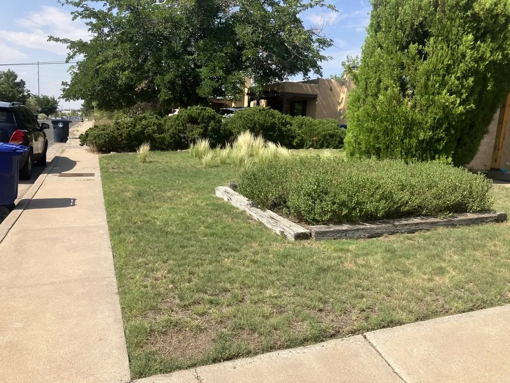 Professional landscape installation in Albuquerque, NM by Wise Home Improvements