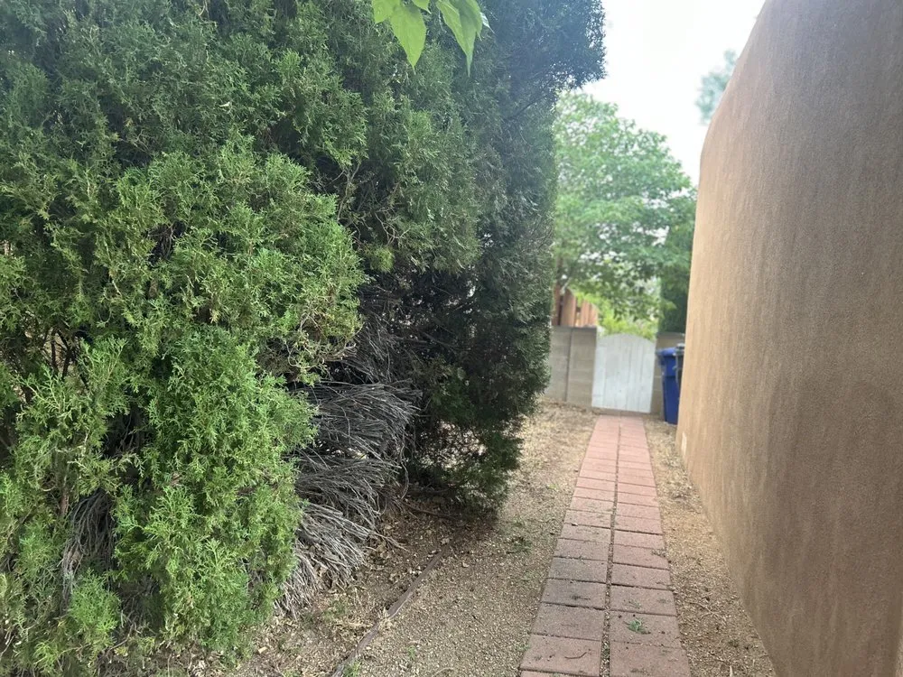 Top-rated landscape design for residential properties in Albuquerque, NM by Wise Home Improvements