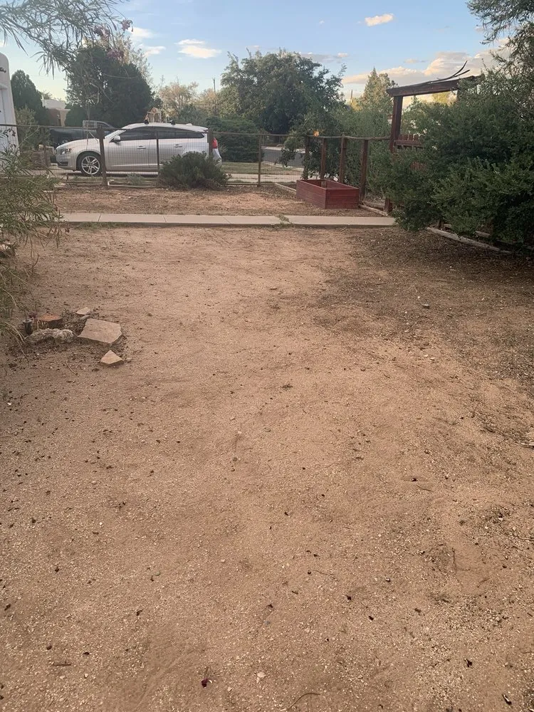 Local lawn mowing service for residential properties across Albuquerque, NM - Wise Home Improvements