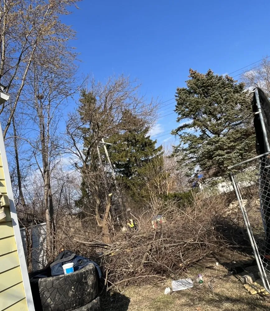 Top-rated lawn mowing service for outdoor upgrades across Detroit, MI - Wise Hoppers