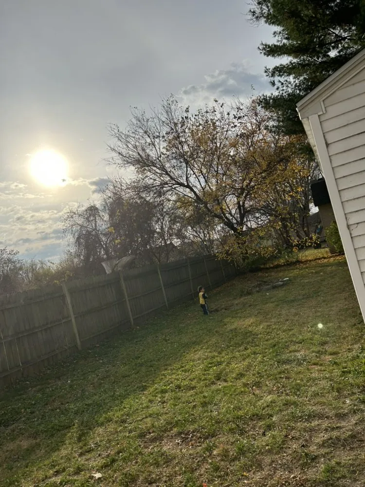 Reliable landscape installation in Detroit, MI by Wise Hoppers