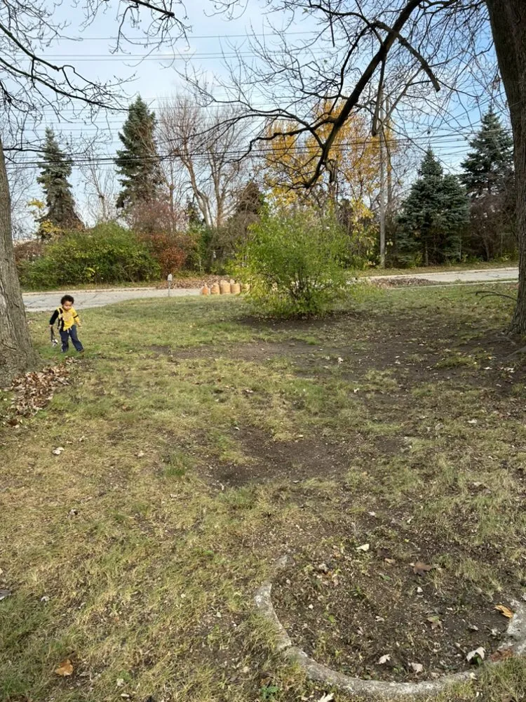 Professional landscaping services for residential properties across Detroit, MI - Wise Hoppers