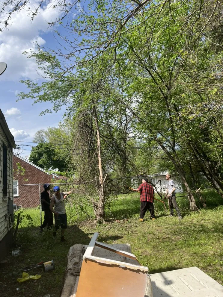 Custom lawn mowing service for beautiful yards across Detroit, MI - Wise Hoppers