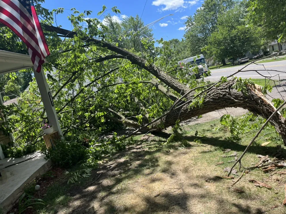 Trusted garden landscaping for year-round maintenance across Detroit, MI - Wise Hoppers