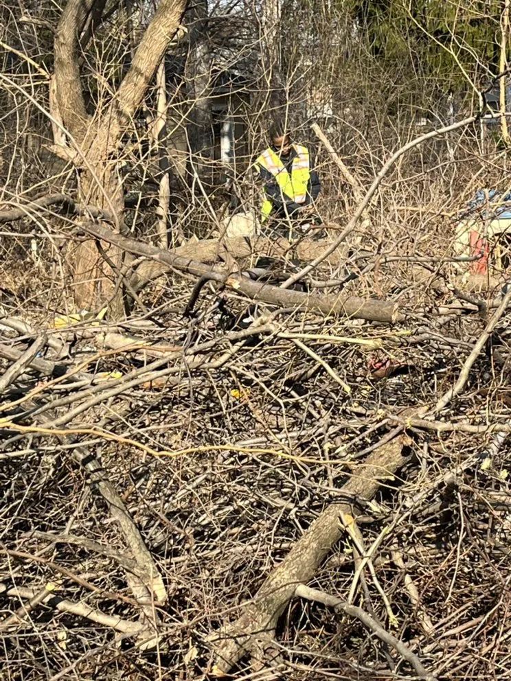 Reliable garden landscaping for residential properties in Detroit, MI by Wise Hoppers