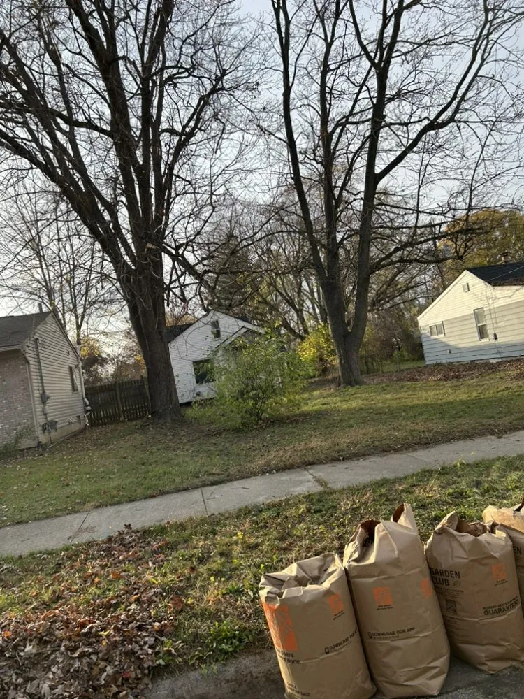 Affordable lawn mowing service in Detroit, MI by Wise Hoppers