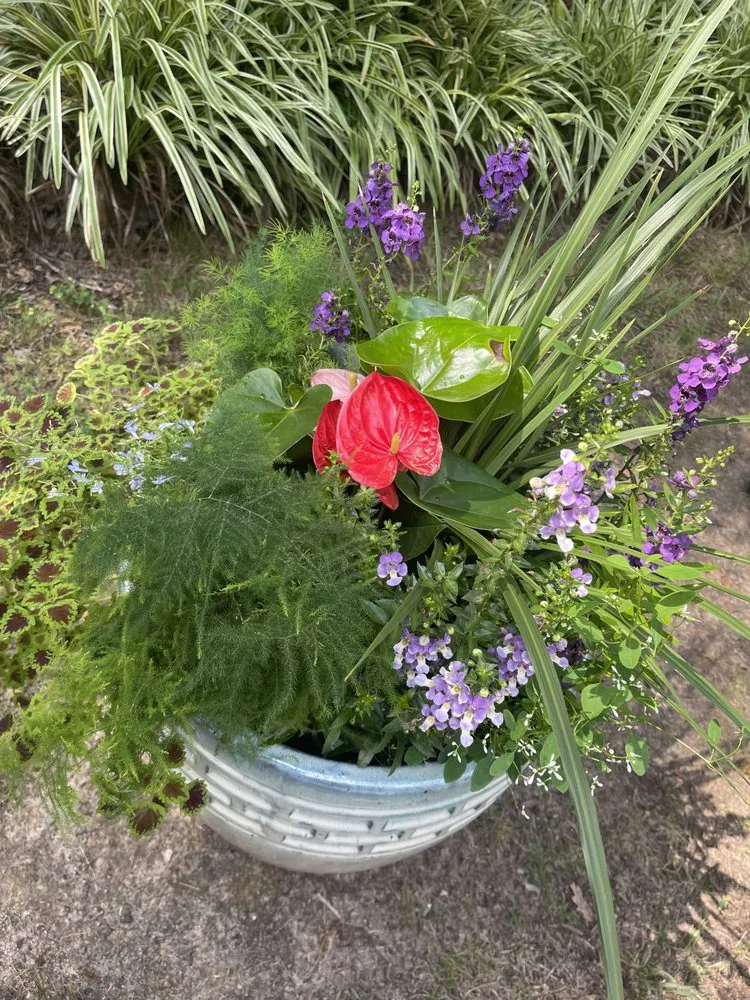 Professional landscape design in Richmond, VA - Wise Landscapes