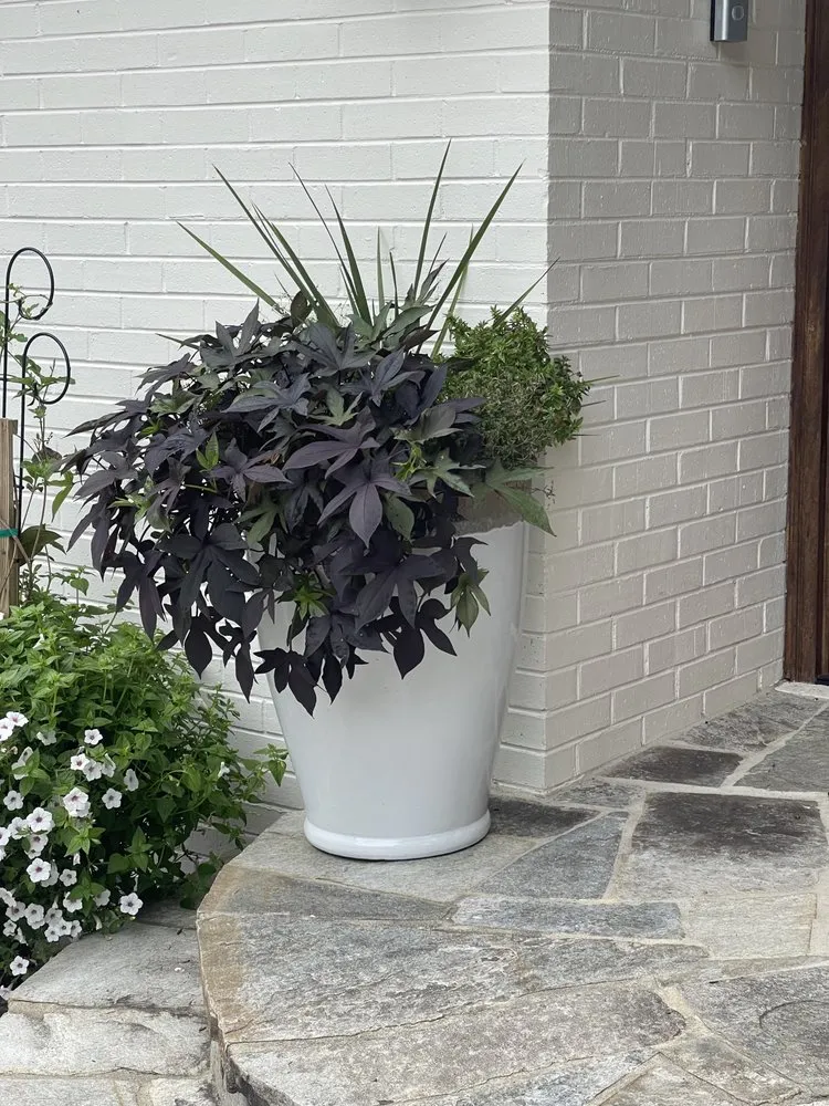 Trusted landscape design in Richmond, VA - Wise Landscapes