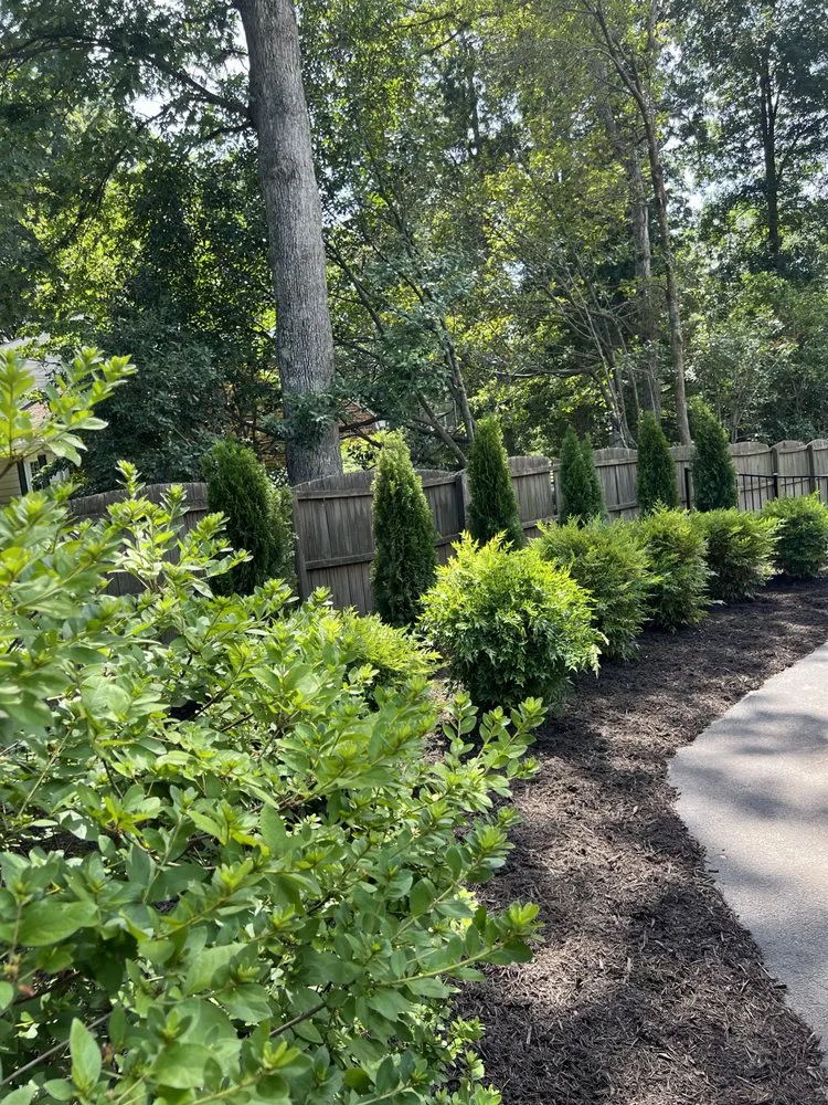 Professional lawn mowing service near you in Richmond, VA by Wise Landscapes