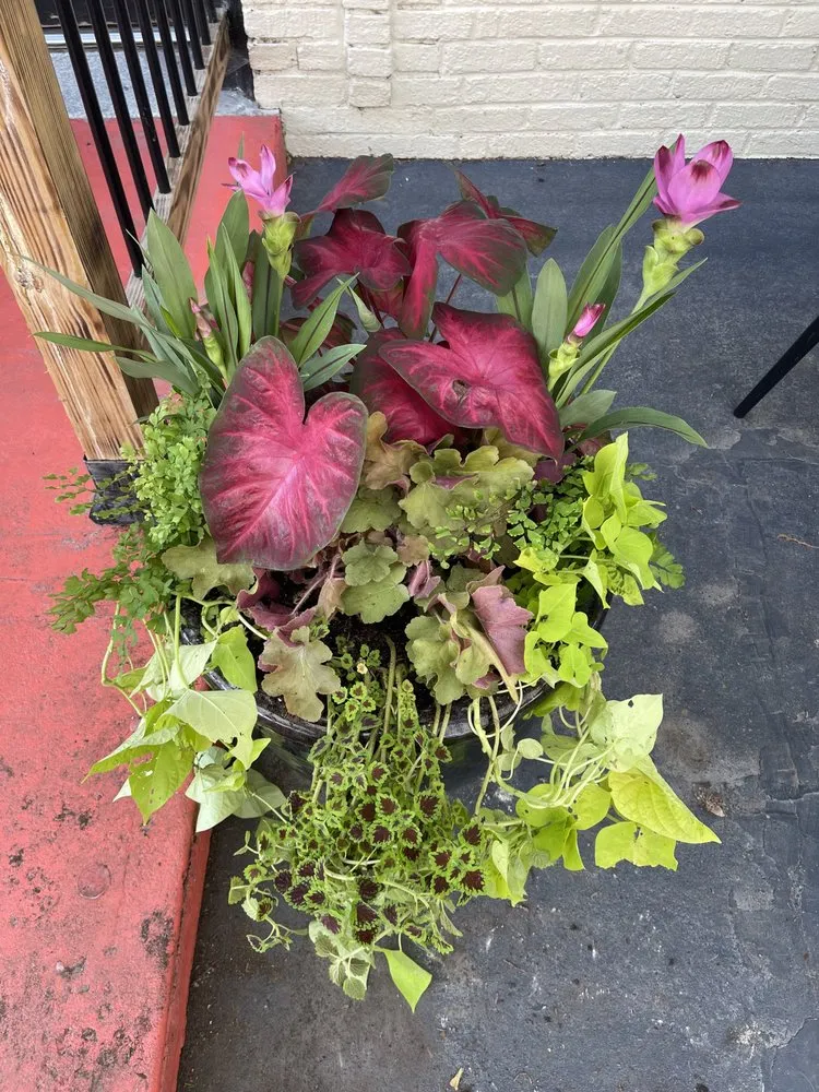 Custom outdoor landscaping with custom design in Richmond, VA by Wise Landscapes