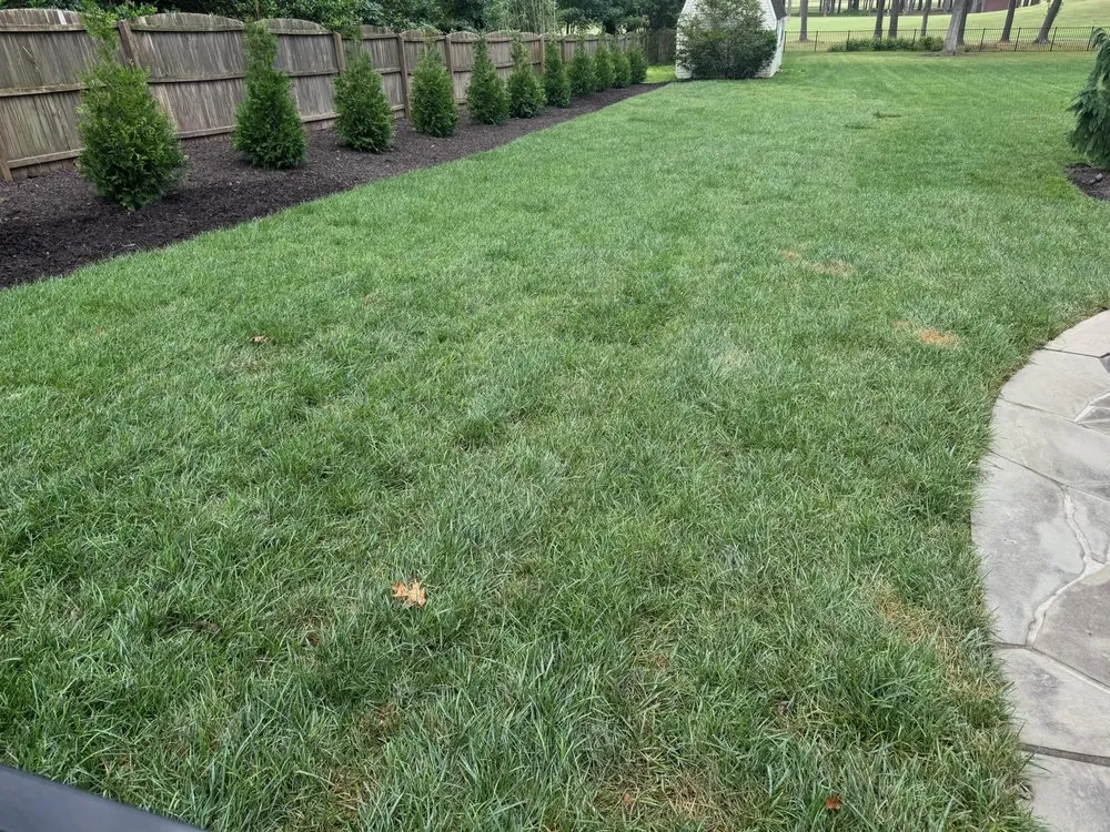 Affordable yard cleanup service for beautiful yards across Richmond, VA - Wise Landscapes
