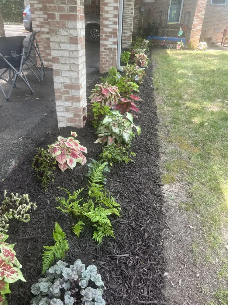 Affordable landscaping services for year-round maintenance across Richmond, VA - Wise Landscapes