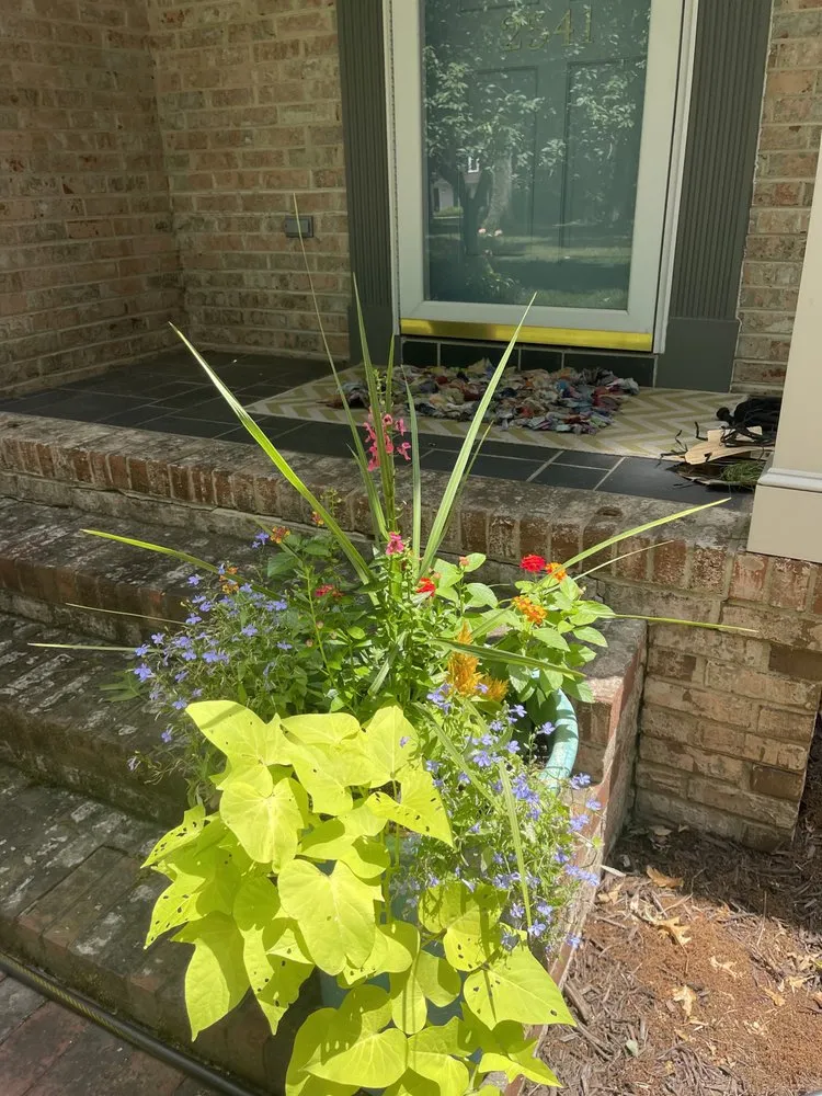 Trusted lawn mowing service experts serving Richmond, VA - Wise Landscapes