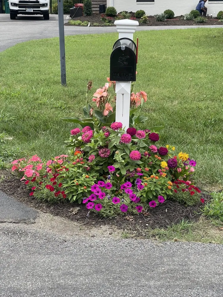 Affordable yard cleanup service in Richmond, VA - Wise Landscapes