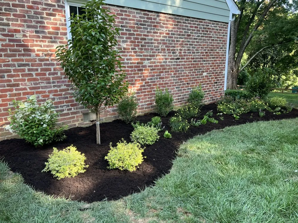Affordable landscaping services for beautiful yards across Richmond, VA - Wise Landscapes