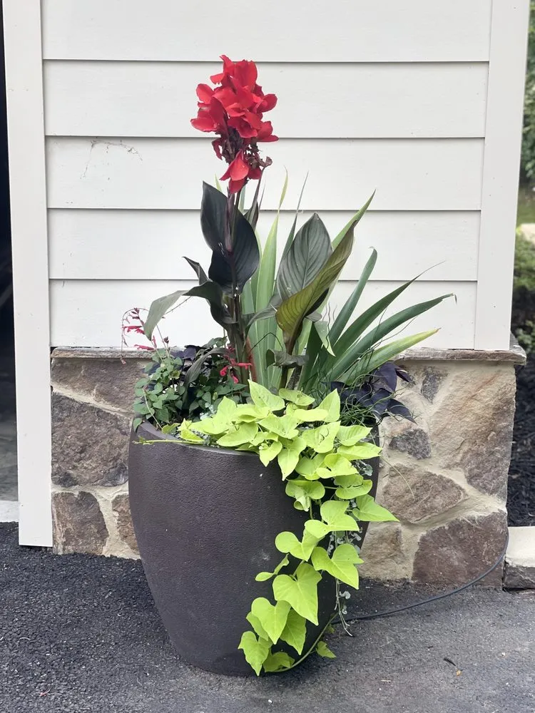 Affordable residential landscaping in Richmond, VA by Wise Landscapes