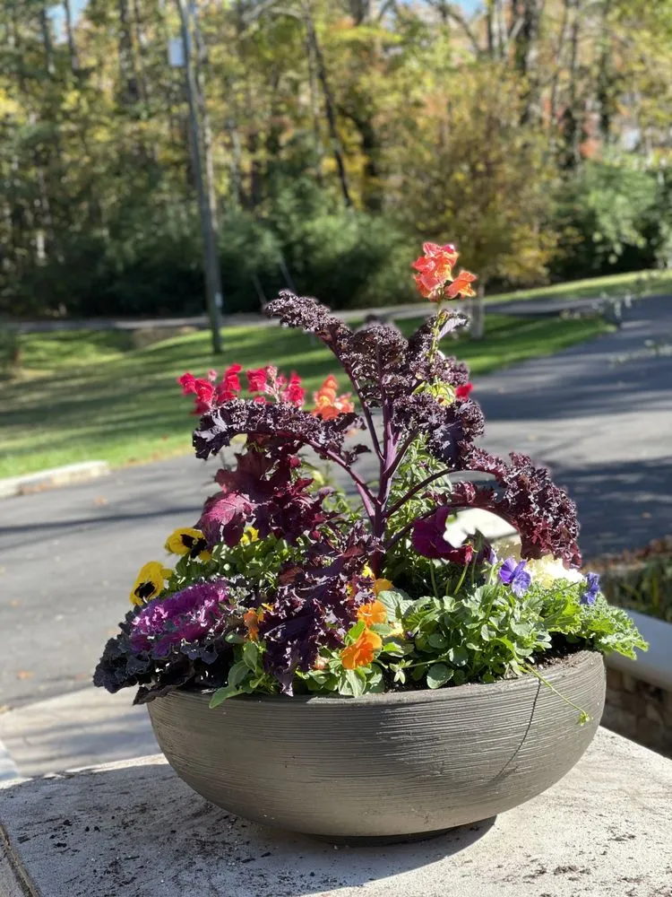 Affordable lawn mowing service for beautiful yards across Richmond, VA - Wise Landscapes