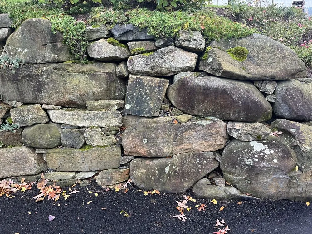 Local residential landscaping for homes in Downingtown, PA by Wise Landscaping