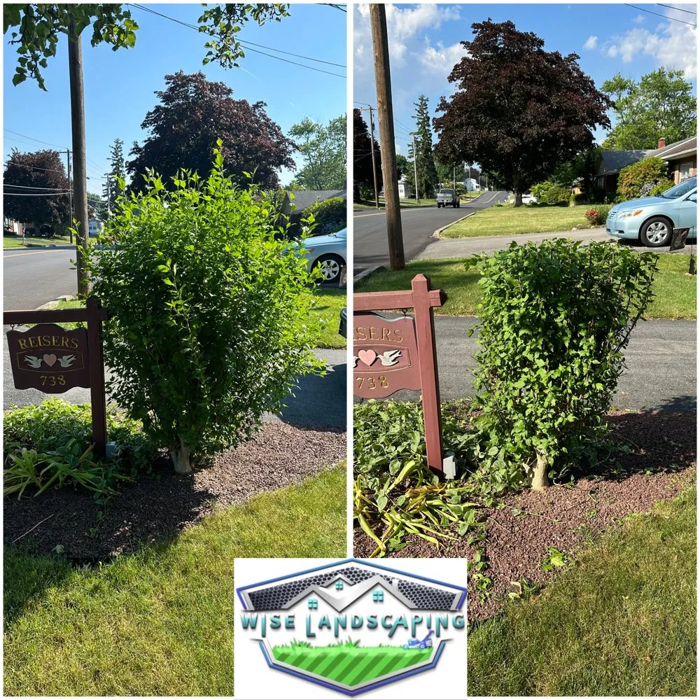 Expert residential landscaping experts serving Elizabethtown, PA - Wise Landscaping