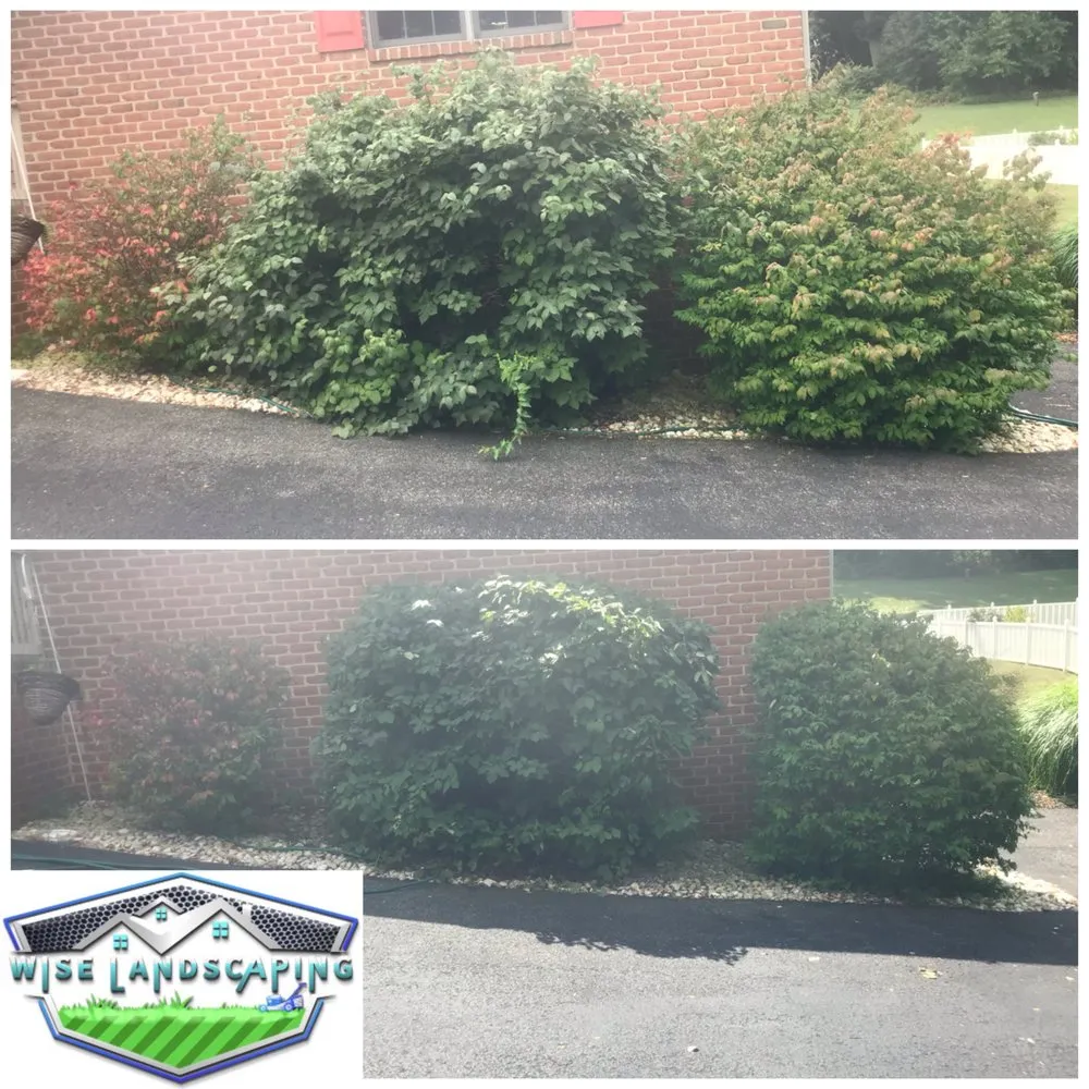 Expert yard cleanup service with custom design in Elizabethtown, PA by Wise Landscaping