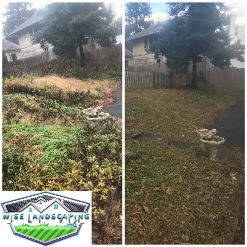Top-rated yard cleanup service in Elizabethtown, PA - Wise Landscaping