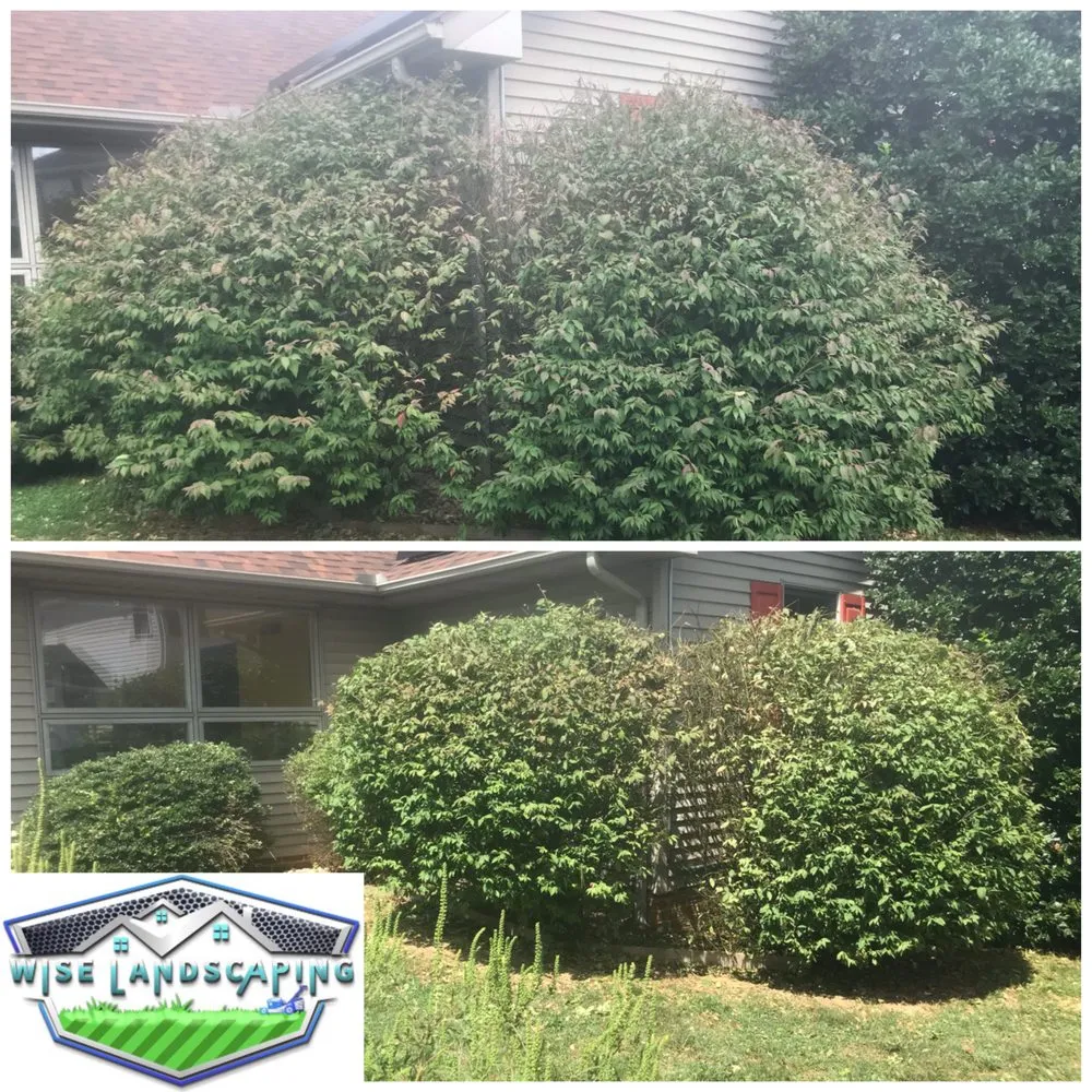 Top-rated yard cleanup service in Elizabethtown, PA - Wise Landscaping