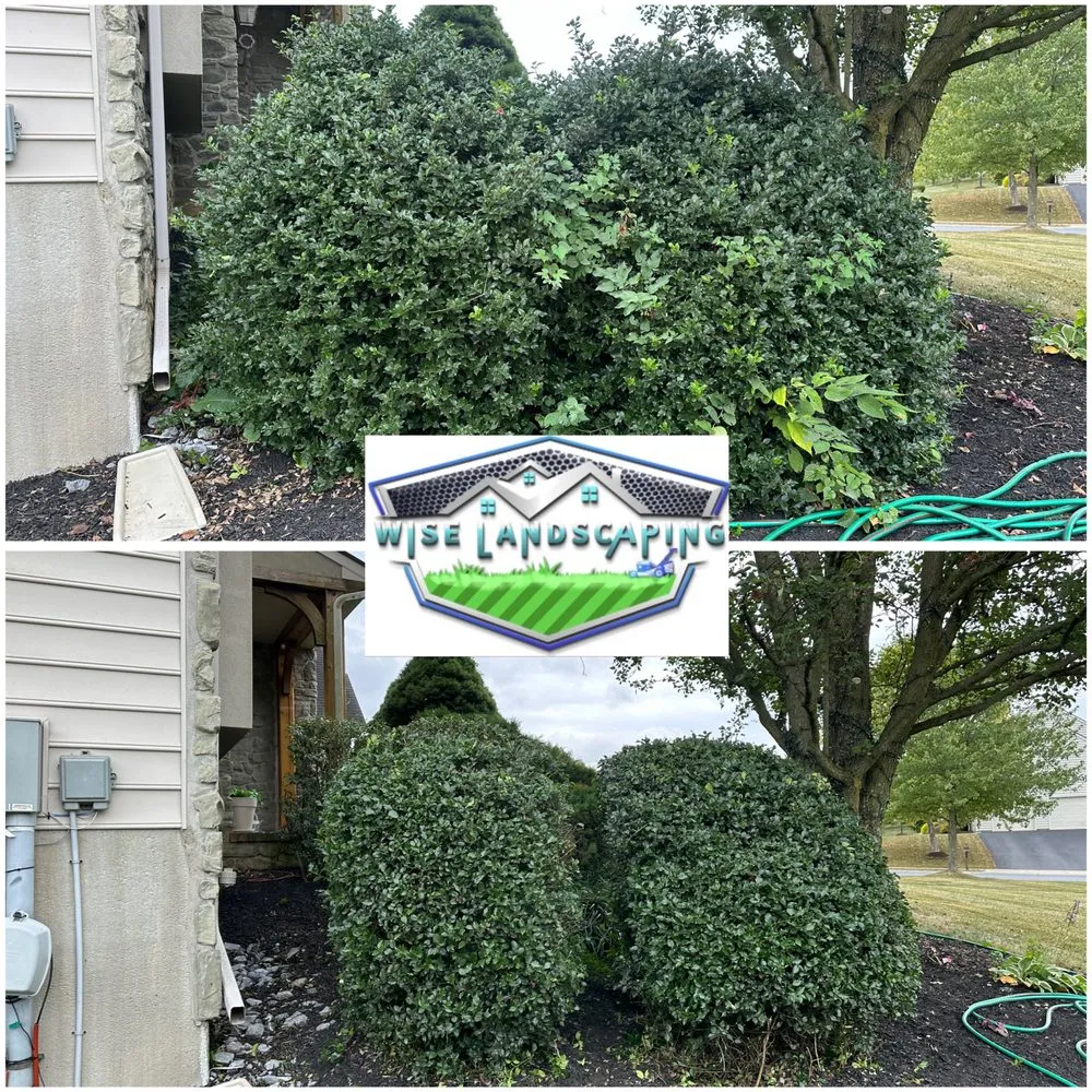 Trusted residential landscaping in Elizabethtown, PA by Wise Landscaping