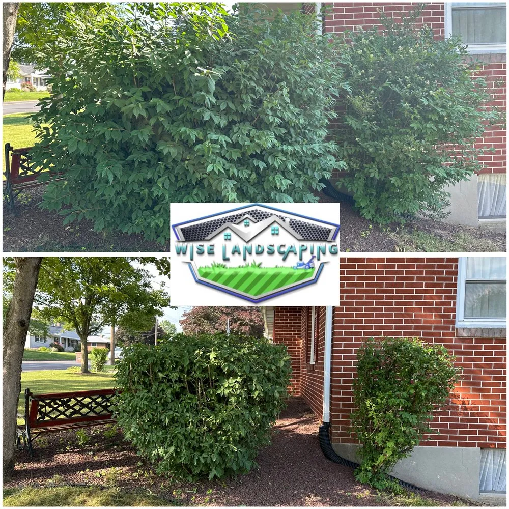 Local landscaping services in Elizabethtown, PA - Wise Landscaping