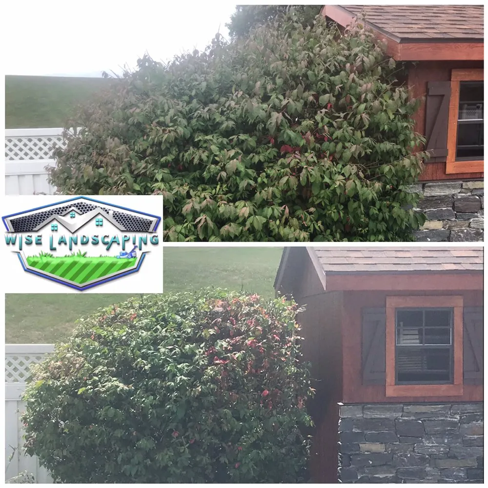 Top-rated yard cleanup service for beautiful yards in Elizabethtown, PA by Wise Landscaping