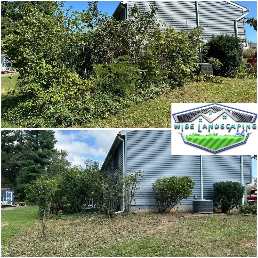 Professional residential landscaping experts serving Elizabethtown, PA - Wise Landscaping