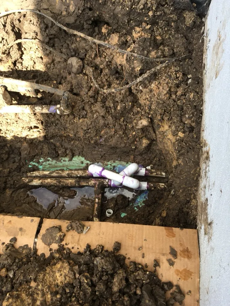 Professional garden landscaping in Houston, TX - Wise Lawn Sprinkler