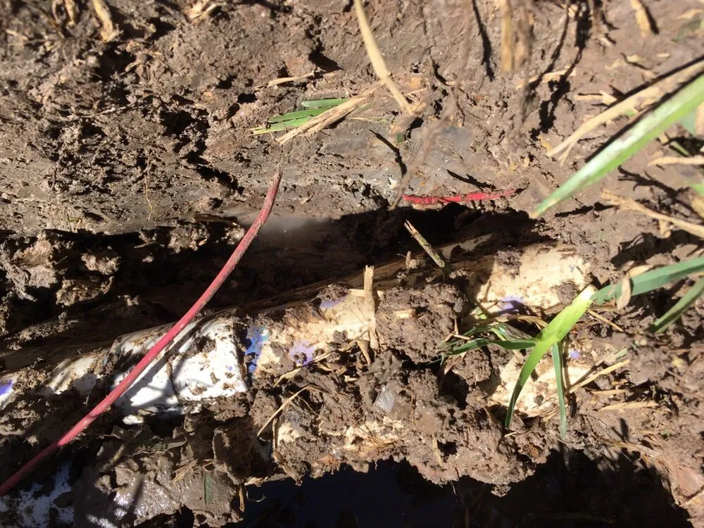 Trusted outdoor landscaping for homes in Houston, TX by Wise Lawn Sprinkler