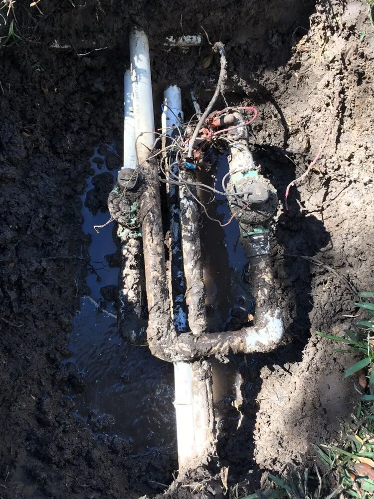 Top-rated residential landscaping in Houston, TX by Wise Lawn Sprinkler