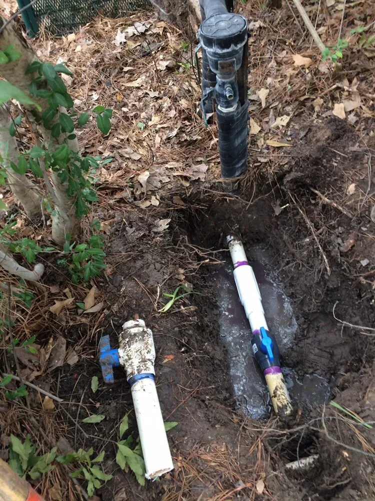 Trusted landscape design for outdoor upgrades in Houston, TX by Wise Lawn Sprinkler