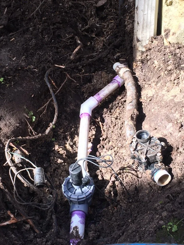 Reliable lawn care service near you across Houston, TX - Wise Lawn Sprinkler