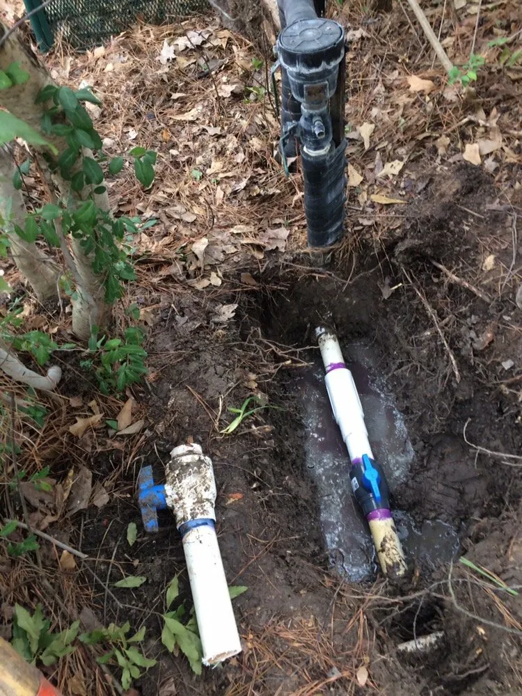 Trusted lawn mowing service in Houston, TX by Wise Lawn Sprinkler