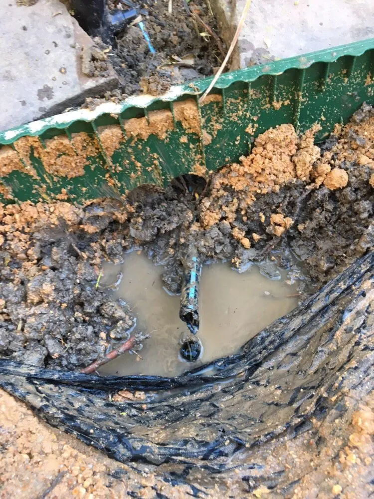 Expert landscape installation in Houston, TX - Wise Lawn Sprinkler