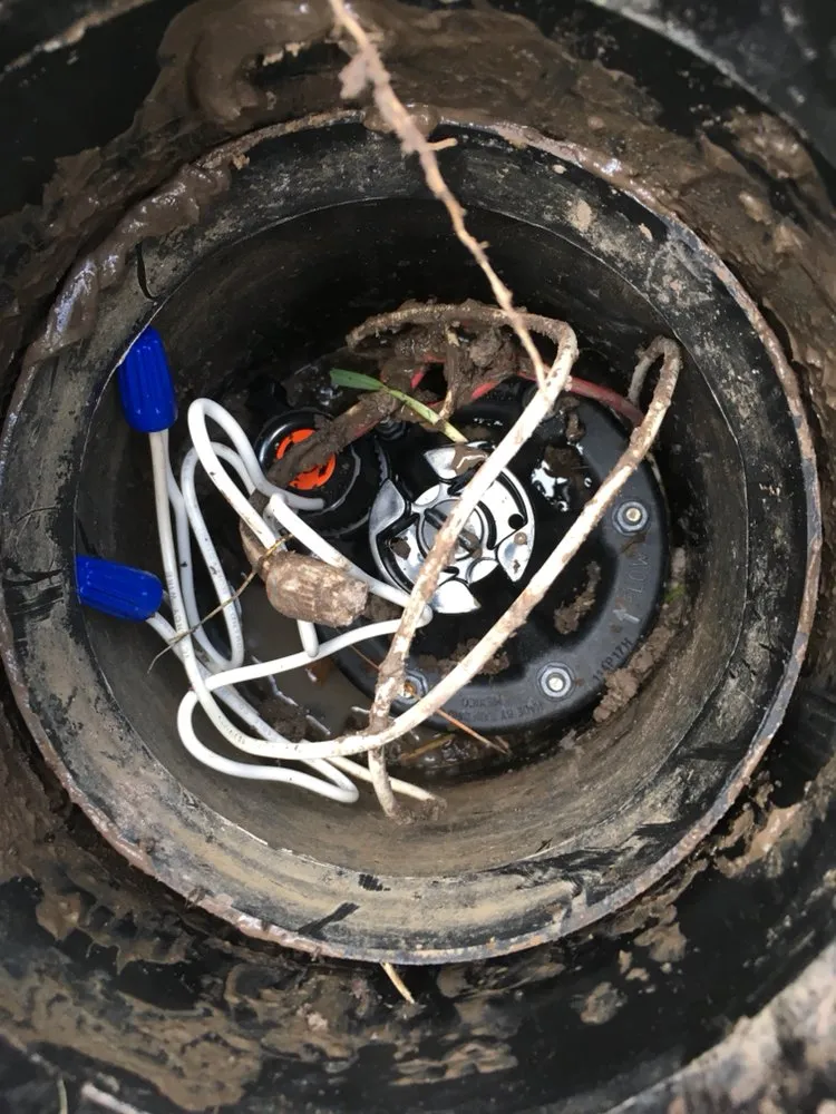 Reliable landscape installation in Houston, TX by Wise Lawn Sprinkler