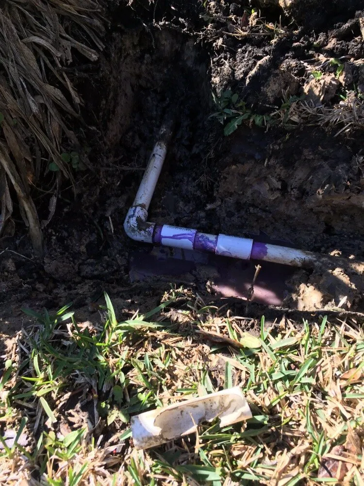 Affordable lawn care service in Houston, TX by Wise Lawn Sprinkler