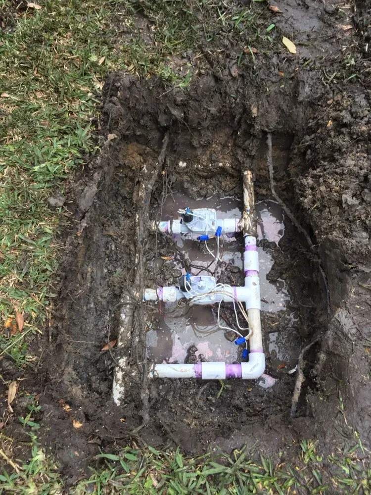 Trusted lawn care service for residential properties across Houston, TX - Wise Lawn Sprinkler