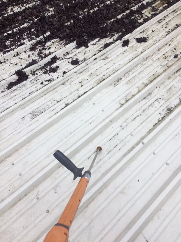 Professional lawn mowing service in Houston, TX by Wise Lawn Sprinkler