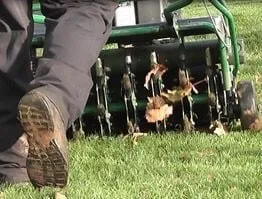 Trusted garden landscaping for beautiful yards in Jamestown, OH by Wise Lawncare & Landscaping