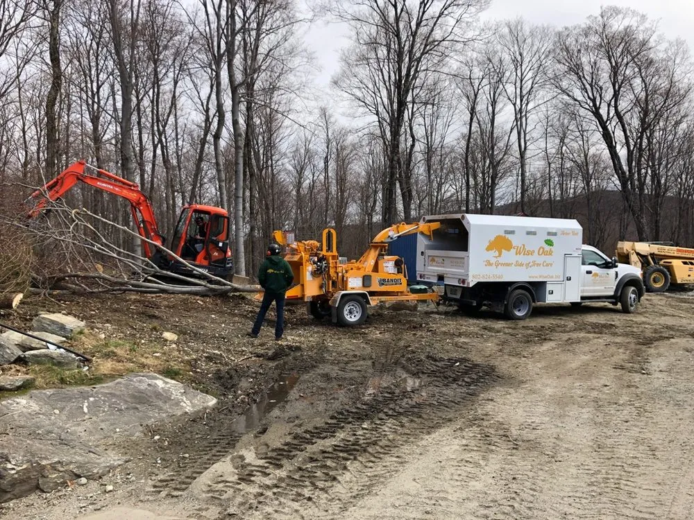 Affordable yard maintenance experts serving South Londonderry, VT - Wise Oak