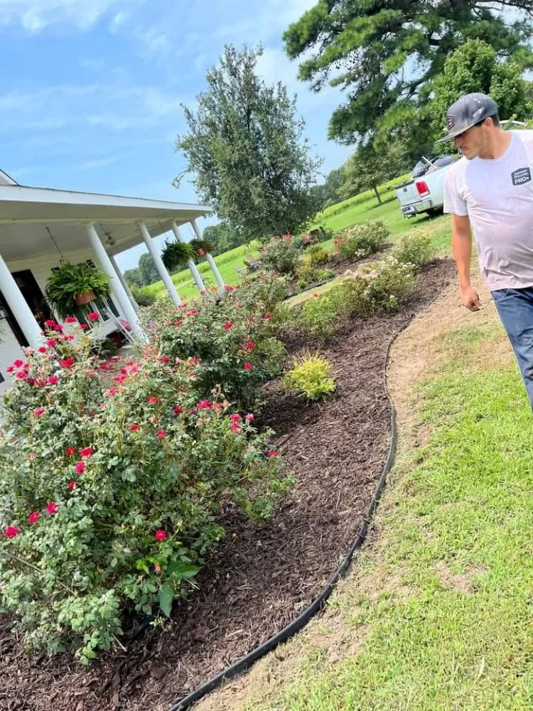 Local lawn care service in England, AR by Wise Power Washing & Lawn Care