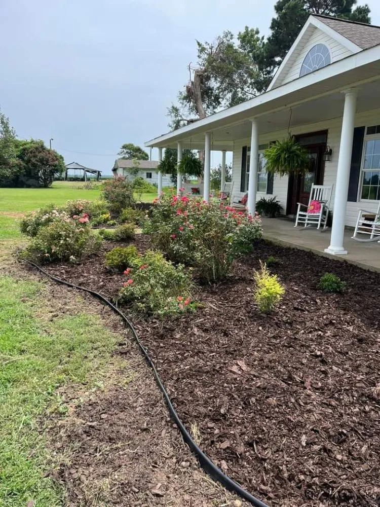 Reliable yard maintenance experts serving England, AR - Wise Power Washing & Lawn Care