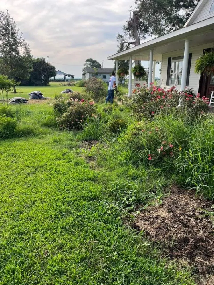 Trusted landscape installation for year-round maintenance in England, AR by Wise Power Washing & Lawn Care